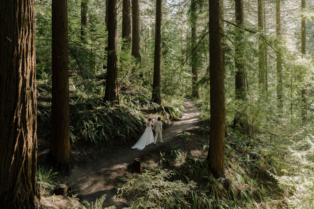 Redwood Observation Deck Wedding
